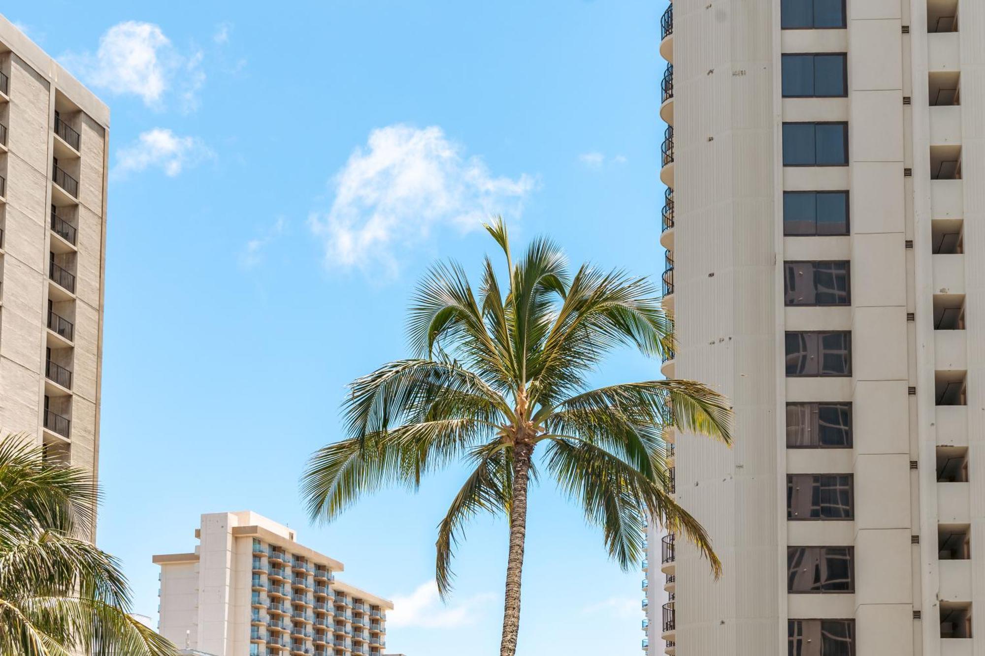 Aloha Vibes With Ocean Views, Near Beach & Parking! ホノルル エクステリア 写真