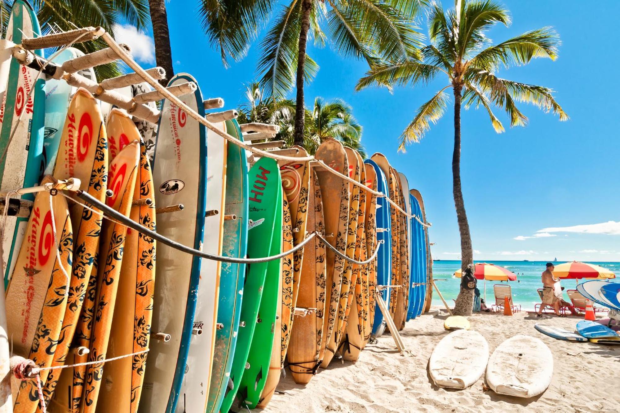 Aloha Vibes With Ocean Views, Near Beach & Parking! ホノルル エクステリア 写真